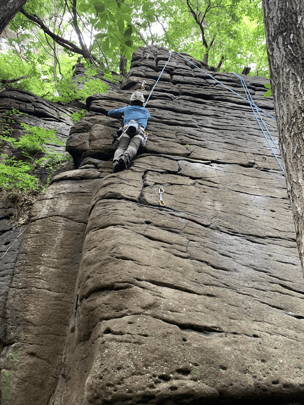 登山道場:佐久志賀クライミング講習