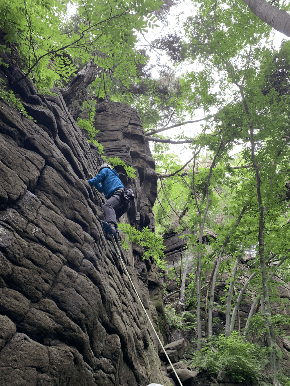 登山道場:佐久志賀クライミング講習