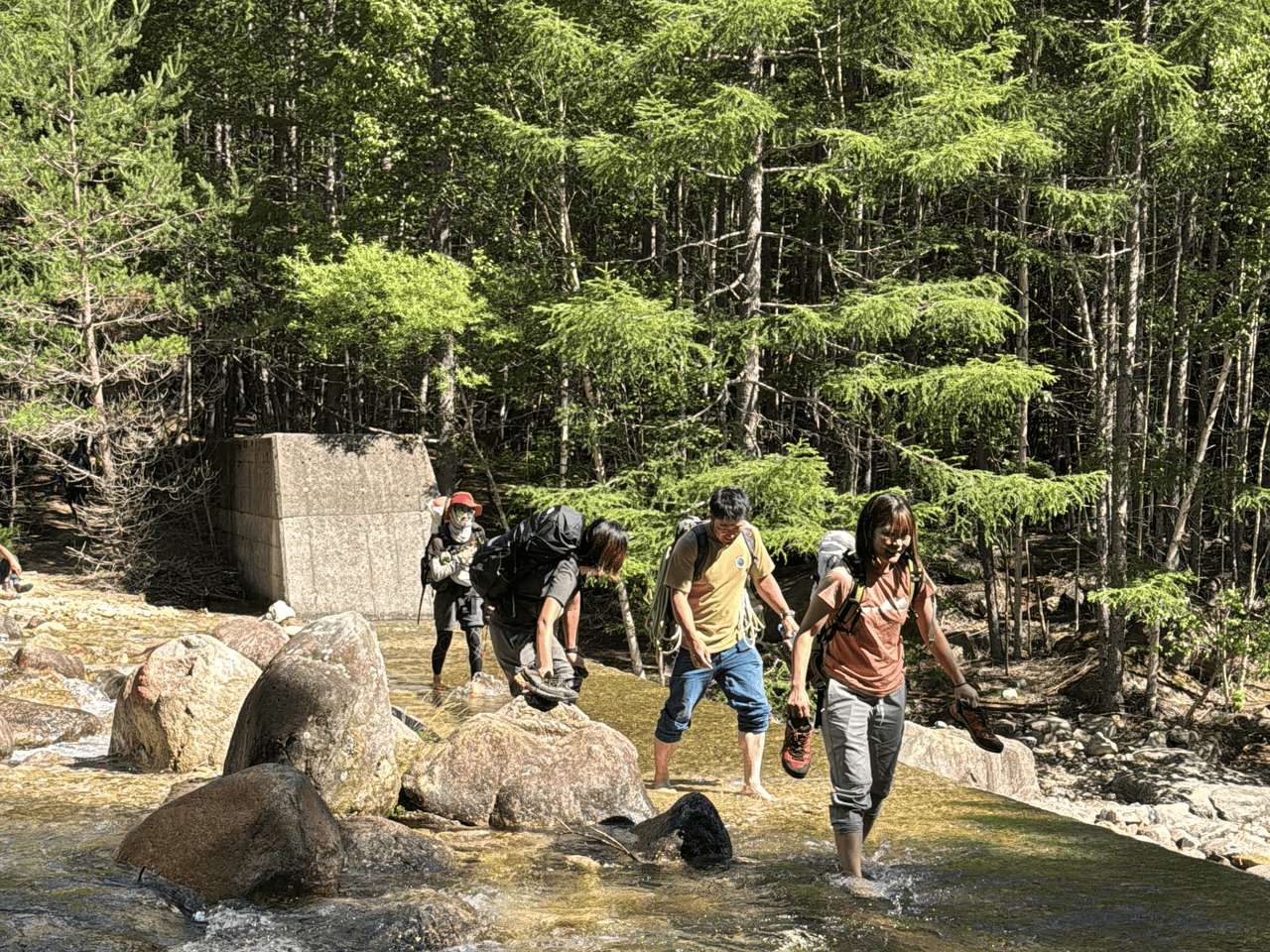 登山道場:小川山クライミング入門講習の様子2025年7月