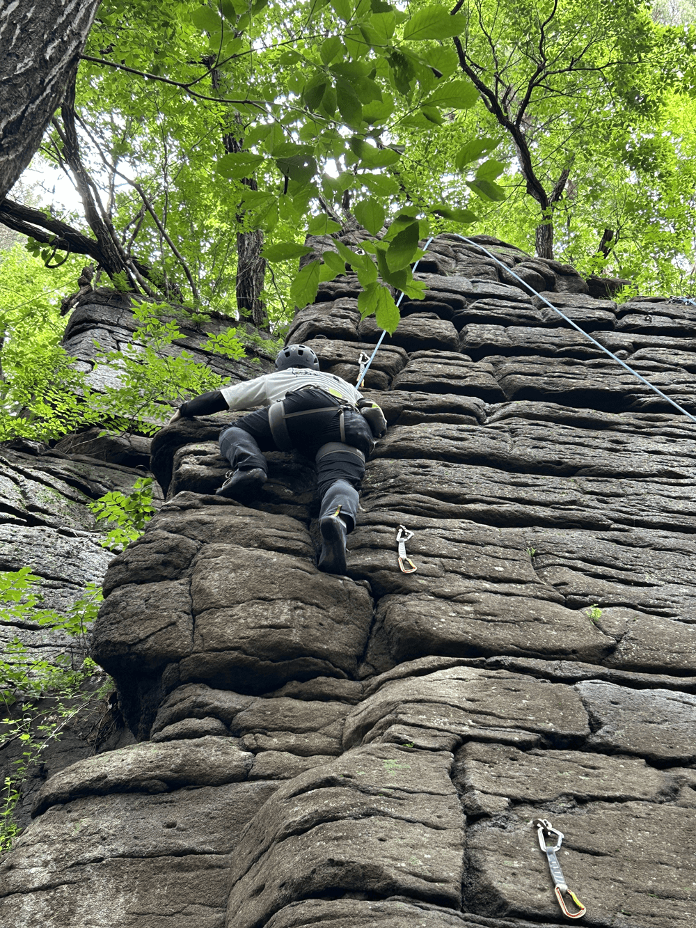 登山道場:佐久志賀クライミング講習