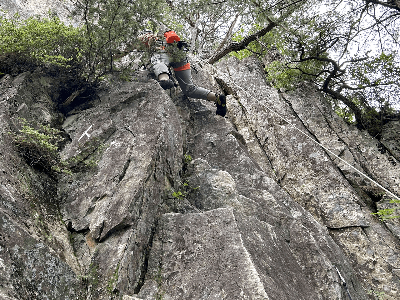 登山道場:小川山クライミング入門講習の様子2025年7月