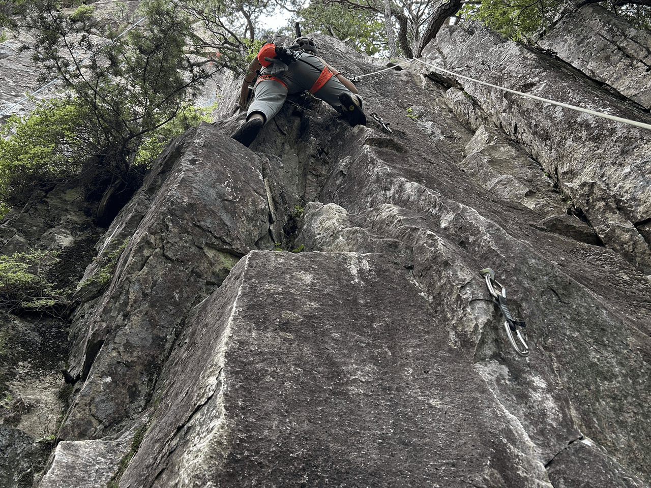 登山道場:小川山クライミング入門講習の様子2025年7月