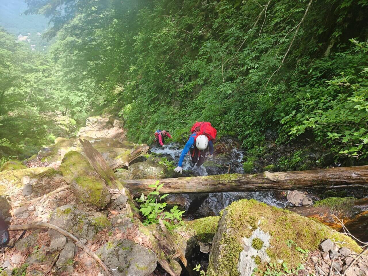 登山道場：四十八滝沢シャワークライミング講習風景2025年7月