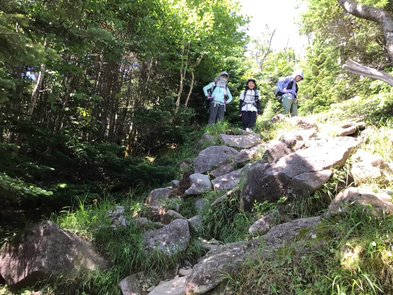 登山道場:蓼科山下山テクニック講習風景/2025年7月29日