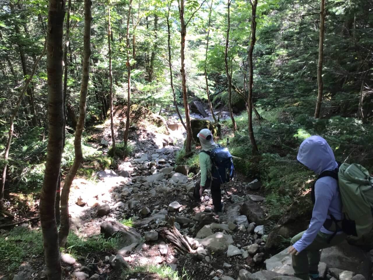 登山道場:蓼科山下山テクニック講習風景/2025年7月29日