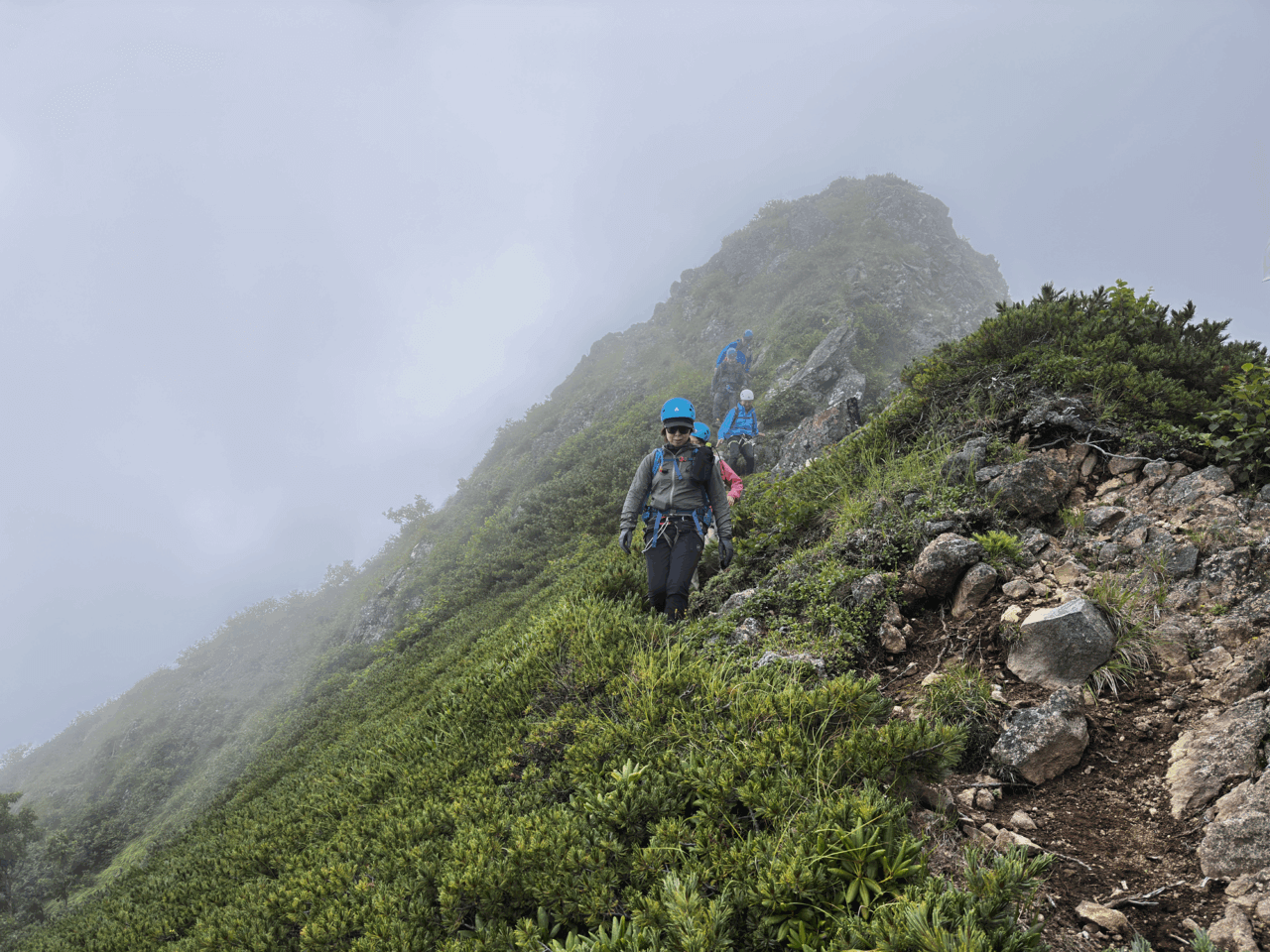 登山道場：南八ヶ岳阿弥陀岳バリエーション登山講習風景/2025年8月9日
