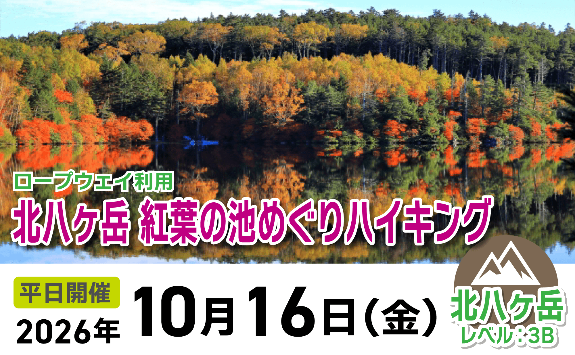登山道場：ロープウェイ利用で行く北八ヶ岳紅葉の池めぐりハイキング2026年10月16日